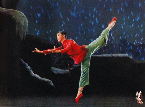 哪里能买到医师资格证